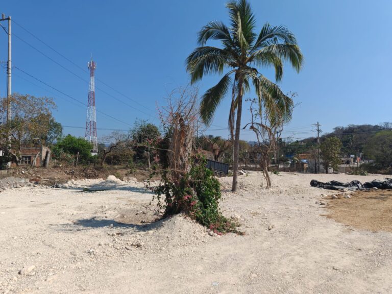 LOTE URSULO – photo 7