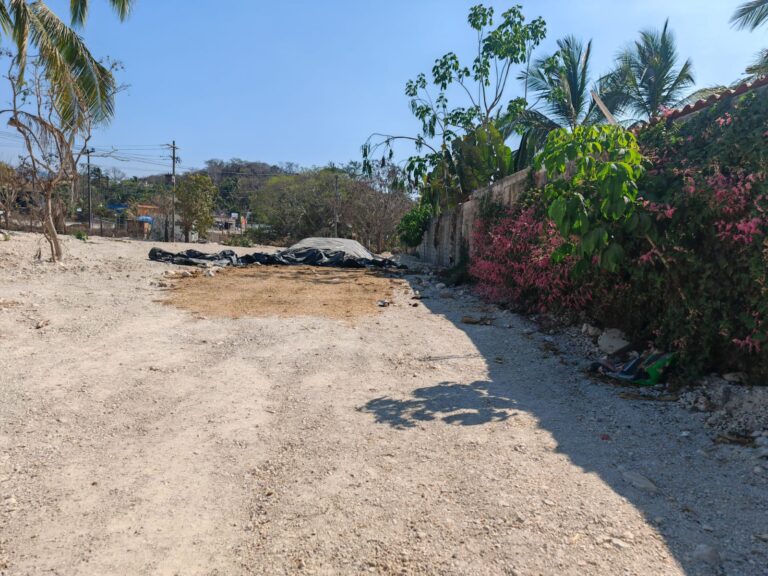 LOTE URSULO – photo 2