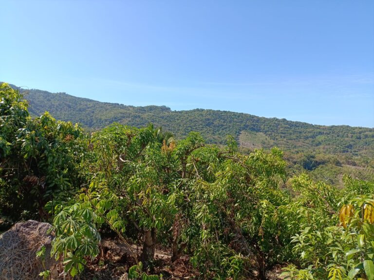 LOT VISTA BAHIA – photo 2