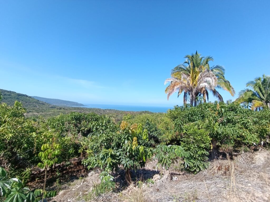 LOT VISTA BAHIA – photo 1