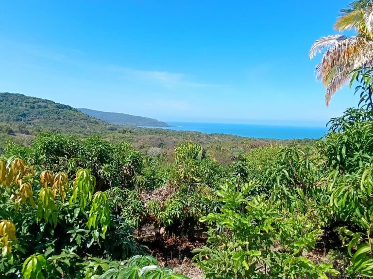 LOT VISTA BAHIA – photo 4