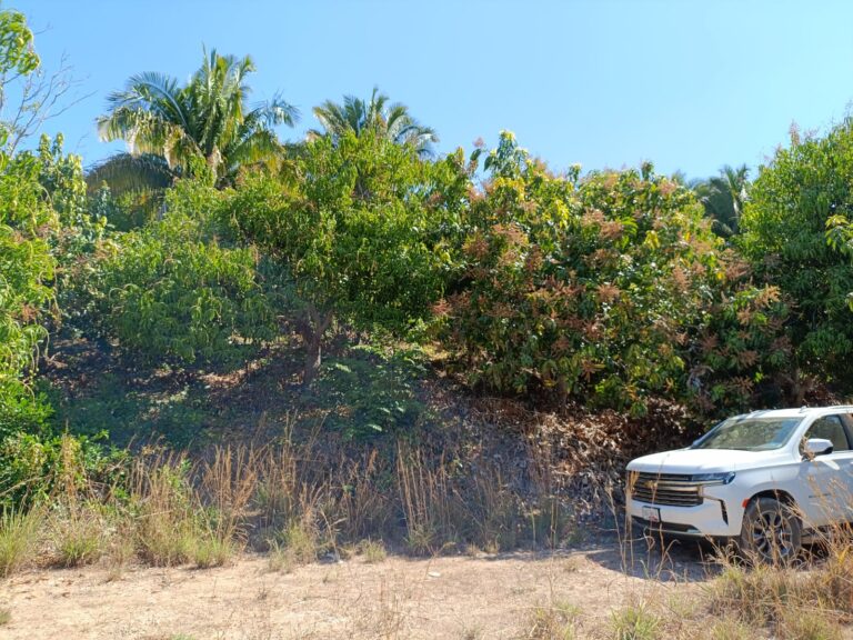 LOT VISTA BAHIA – photo 5