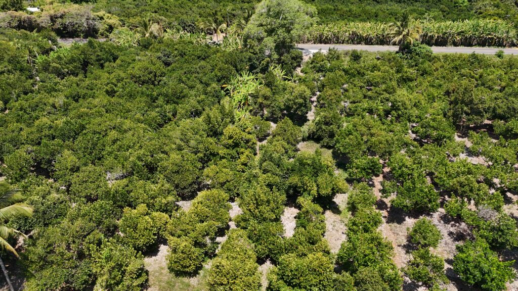 LOTE SANTA CRUZ – photo 1