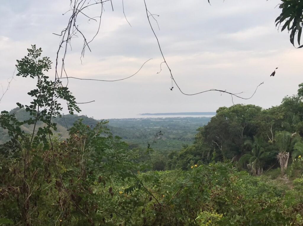 PARCELA LA BARRANCA – photo 1