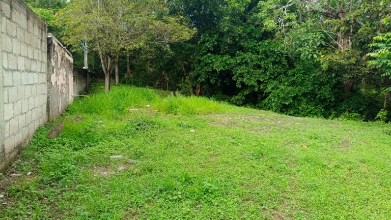 LOTE LOS TEPETATES – photo 2