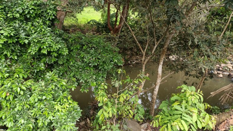 LOTE LOS TEPETATES – photo 3
