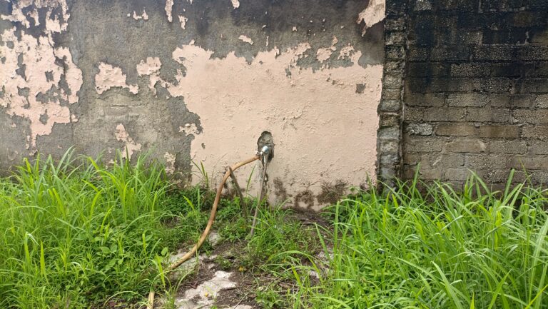 LOTE LOS TEPETATES – photo 4