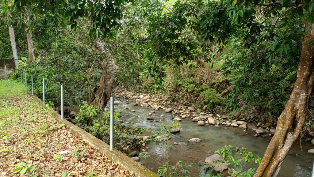 LOTE LOS TEPETATES – photo 1