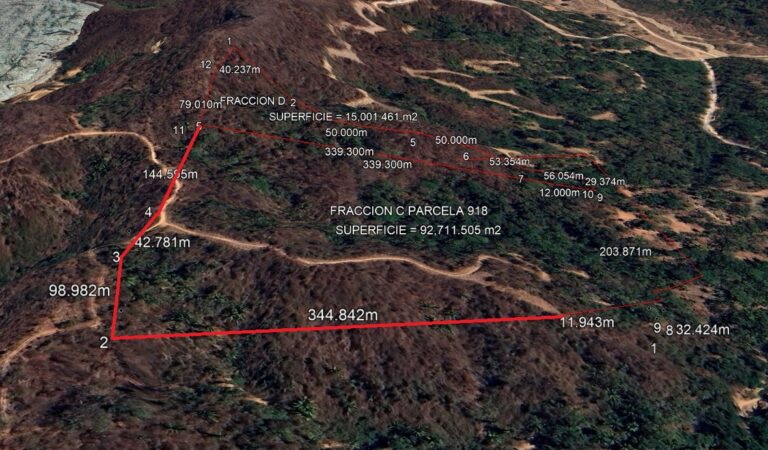 LOTE DEL MONO – photo 8