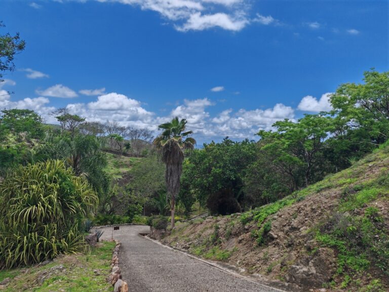 RANCHO ESCONDIDO – LOTE 12 – photo 5