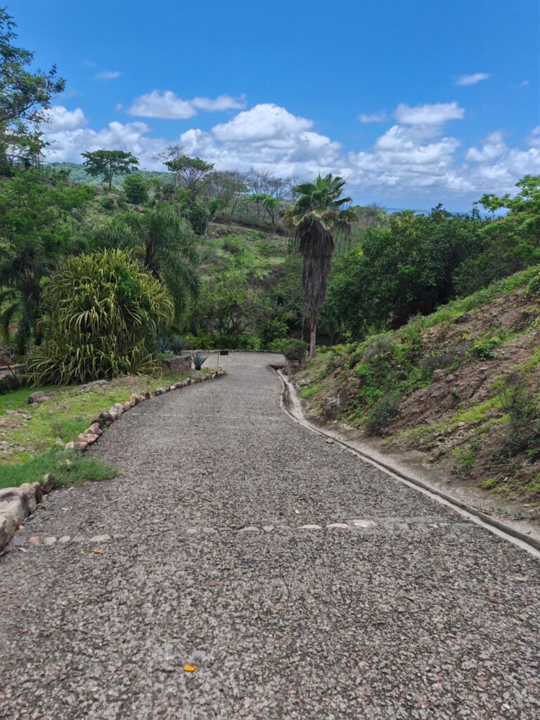 RANCHO ESCONDIDO – LOTE 12 – photo 7