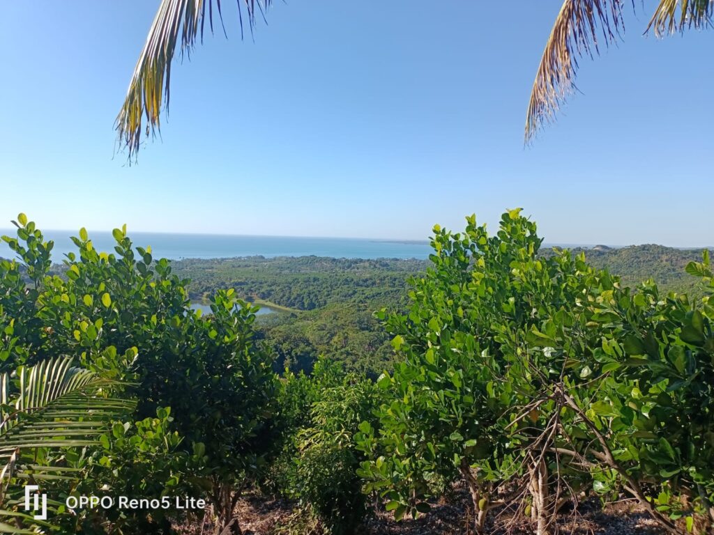 LOT VISTA AL LAGO – photo 1