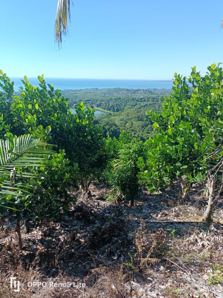 LOT VISTA AL LAGO – photo 3
