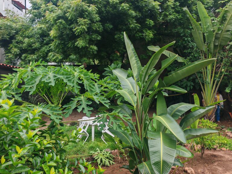CASA MATRACAS – photo 30