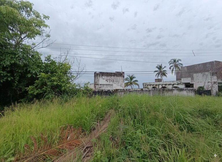 TERRENO LOS COCOS – photo 4