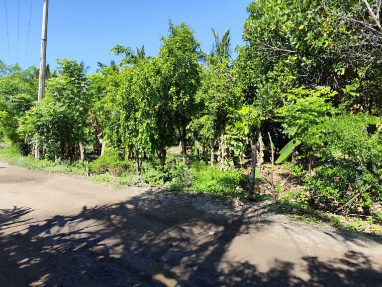LOTES TRANQUILOS – photo 4
