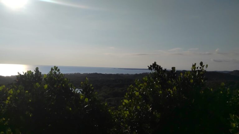 LOTE LA PRESA – photo 3