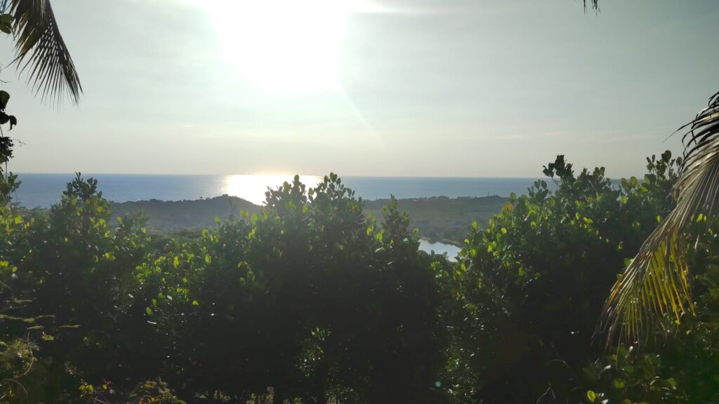 LOTE LA PRESA – photo 1