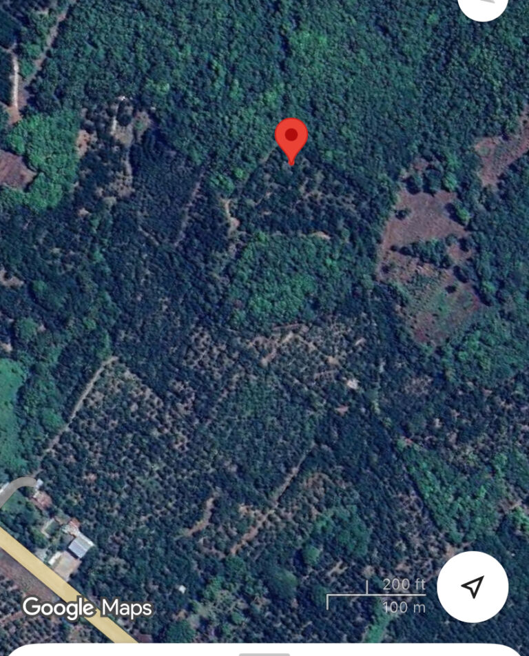 PARCELA VISTA MIRAMAR – photo 4