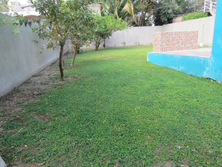 CASA BENDITA – photo 4