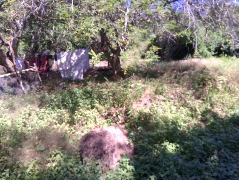 LOT CENTRO ATICAMA – photo 4