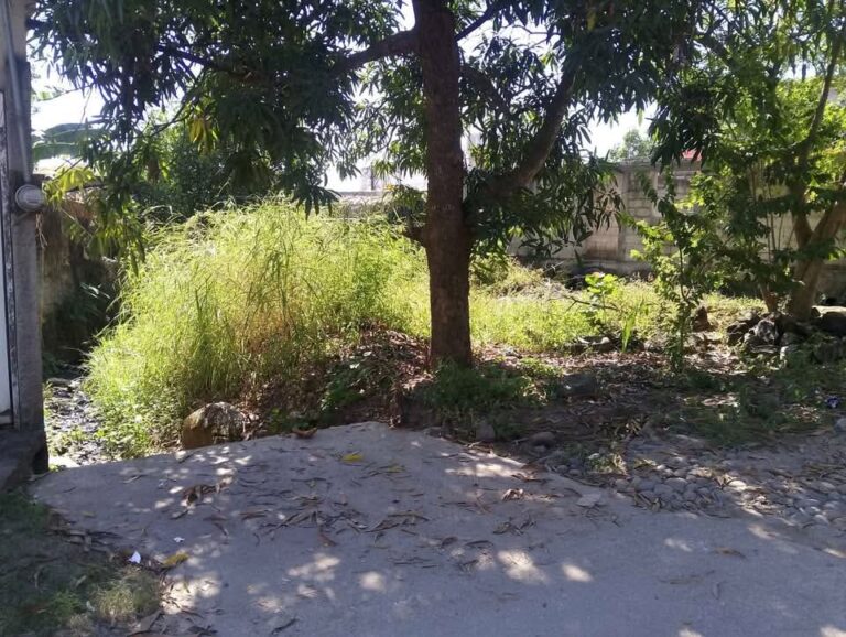 LOT EL VINERO – photo 3