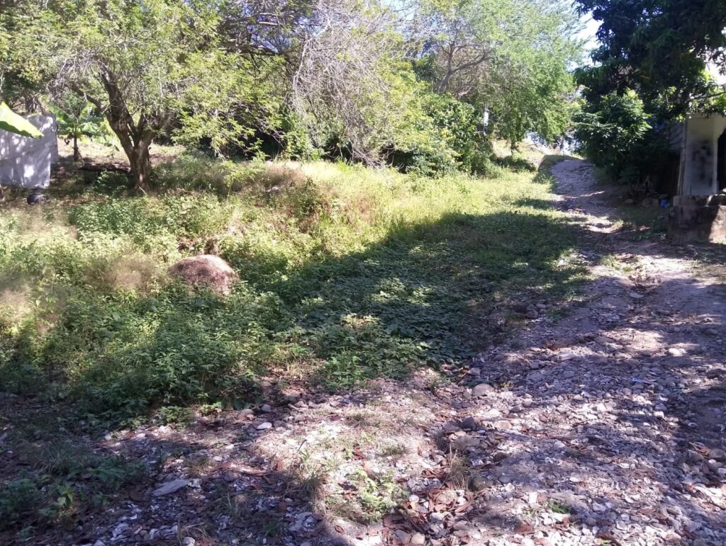 LOT CENTRO ATICAMA – photo 1
