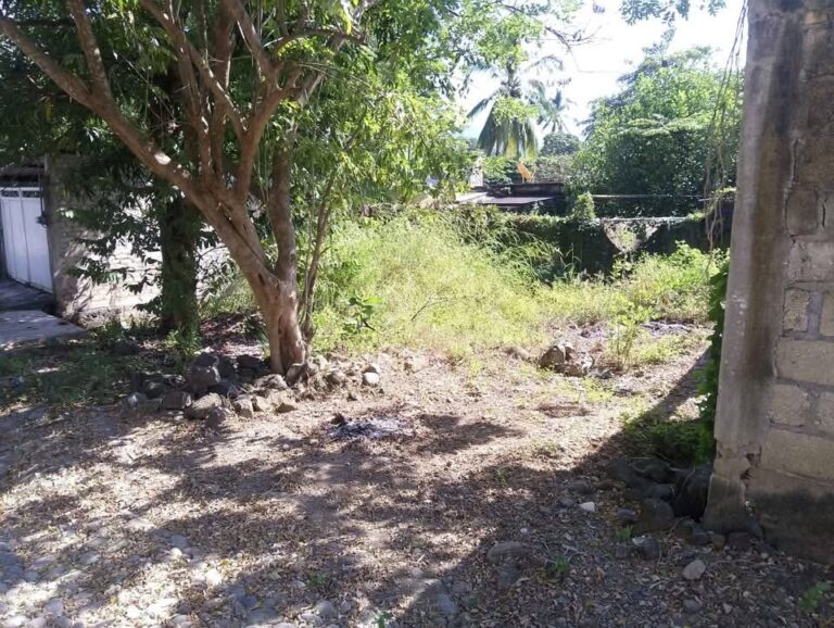 LOT EL VINERO – photo 4