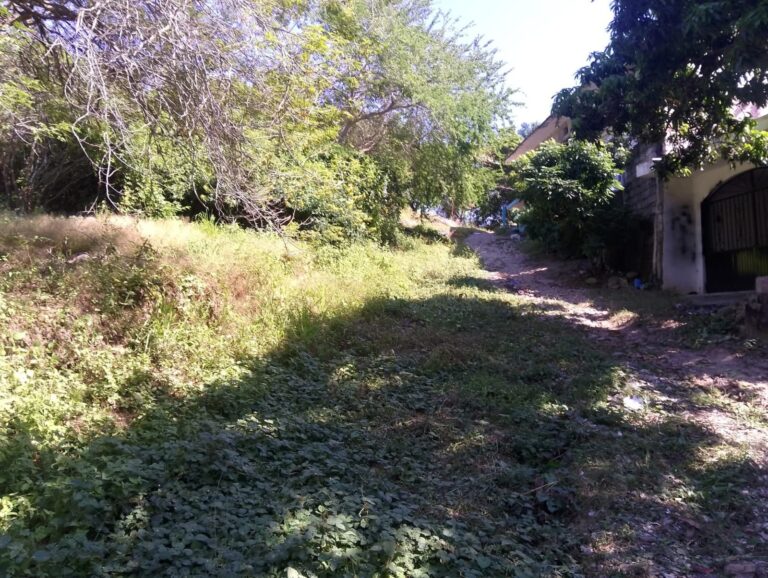 LOT CENTRO ATICAMA – photo 2