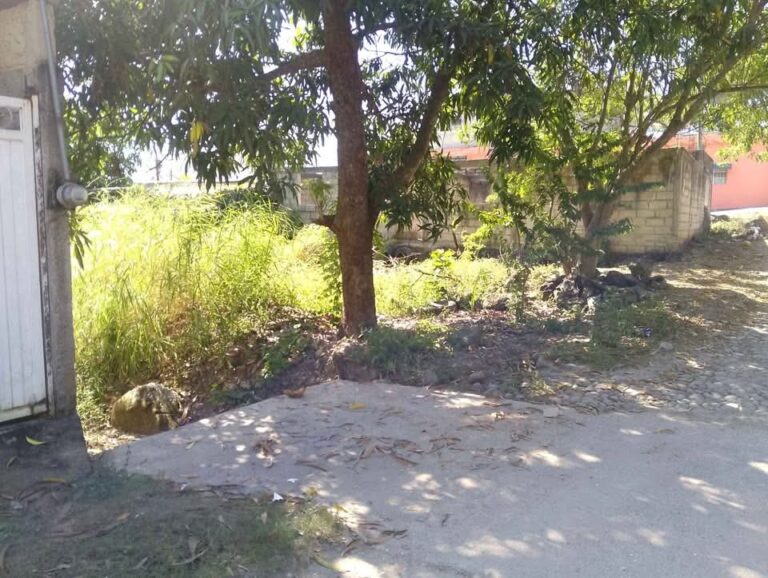 LOT EL VINERO – photo 5
