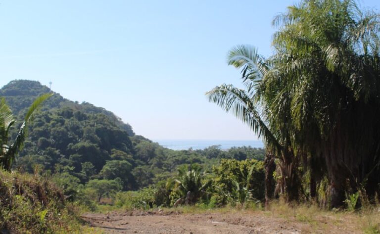 LOTE NUEVO MUELLE – photo 2