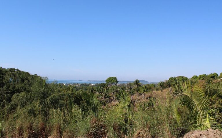 LOTE NUEVO MUELLE – photo 4
