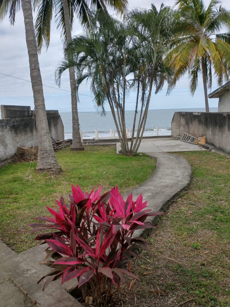 LOTE SOL – photo 6