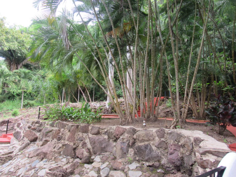 LOT ESKOW – photo 3