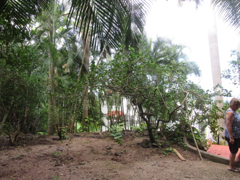 LOT ESKOW – photo 7