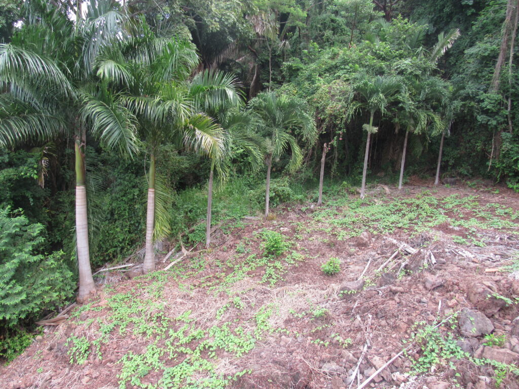 LOT ESKOW – photo 1