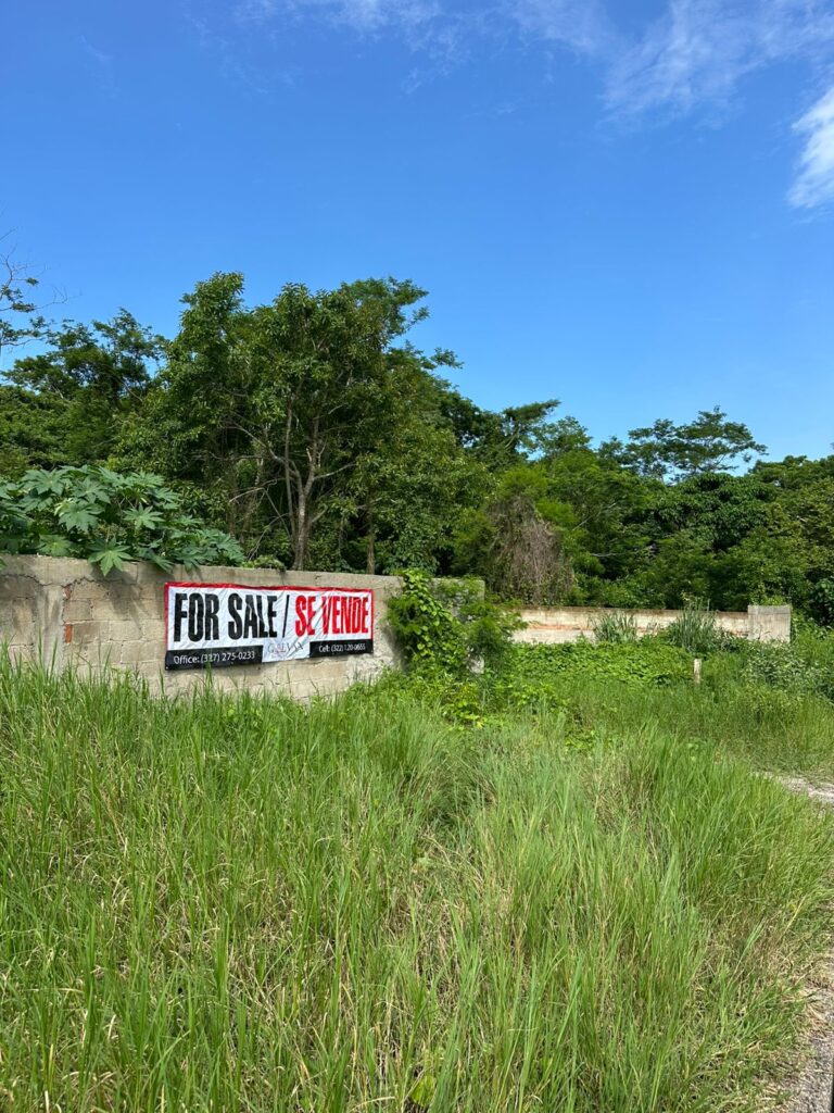 LOTE LA CURVA – photo 3