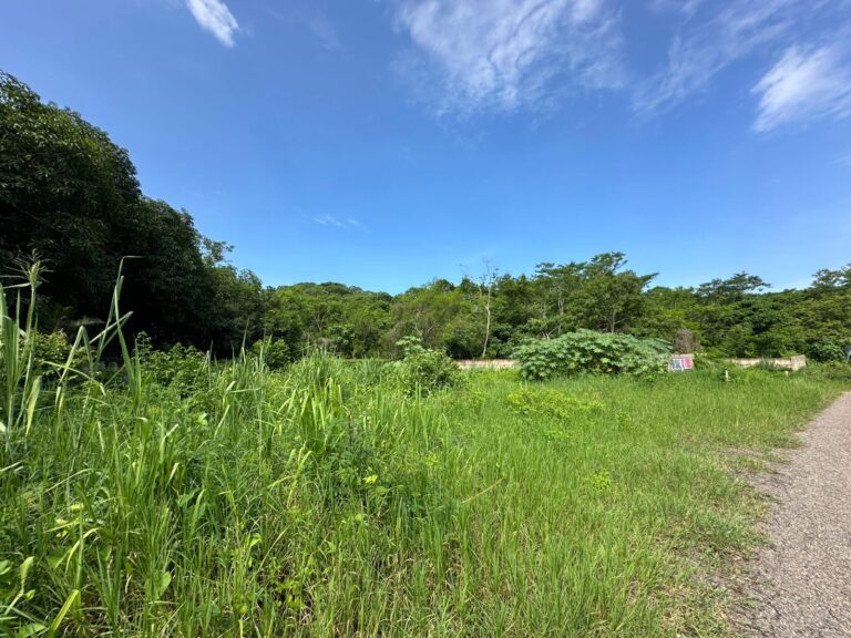 LOTE LA CURVA – photo 4