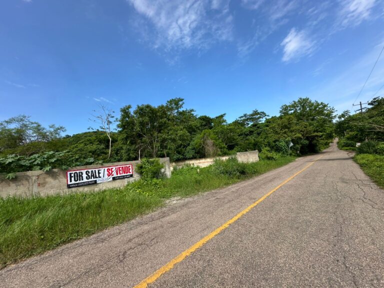 LOTE LA CURVA – photo 6