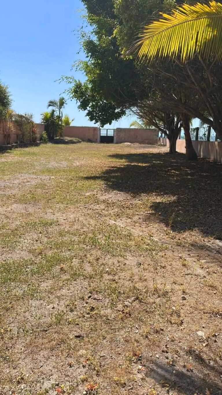 LOTE CORAZON DE MATANCHEN – photo 4