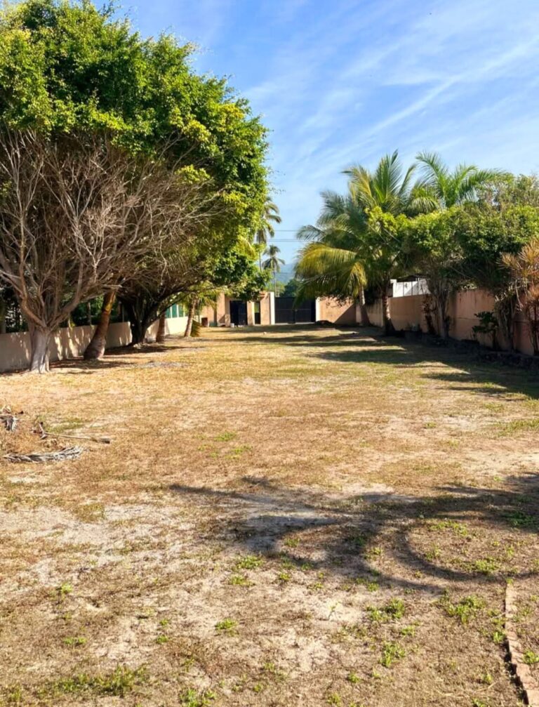 LOTE CORAZON DE MATANCHEN – photo 6