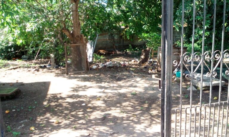 CASA LAS PALMAS – photo 2