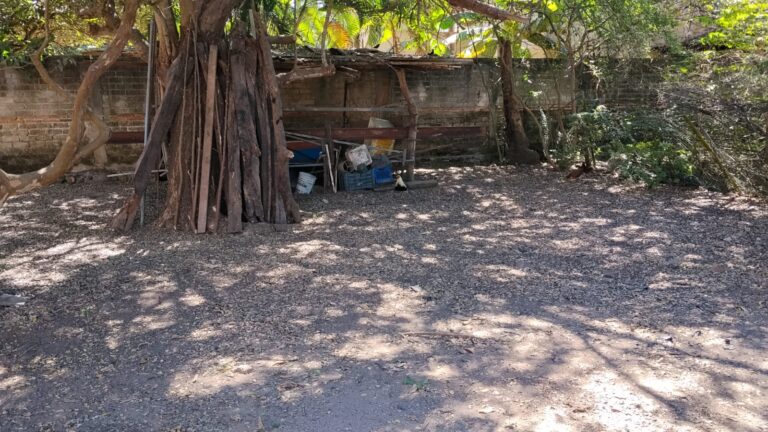 CASA LAS PALMAS – photo 6