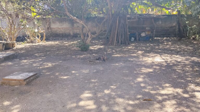 CASA LAS PALMAS – photo 7