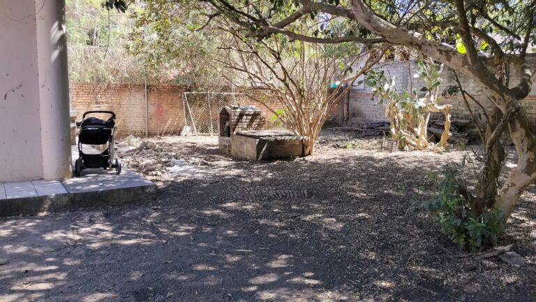CASA LAS PALMAS – photo 3