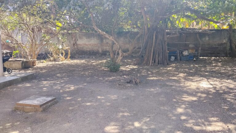 CASA LAS PALMAS – photo 4