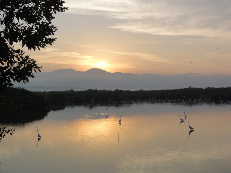 PARCELA SINGAYTA – photo 4