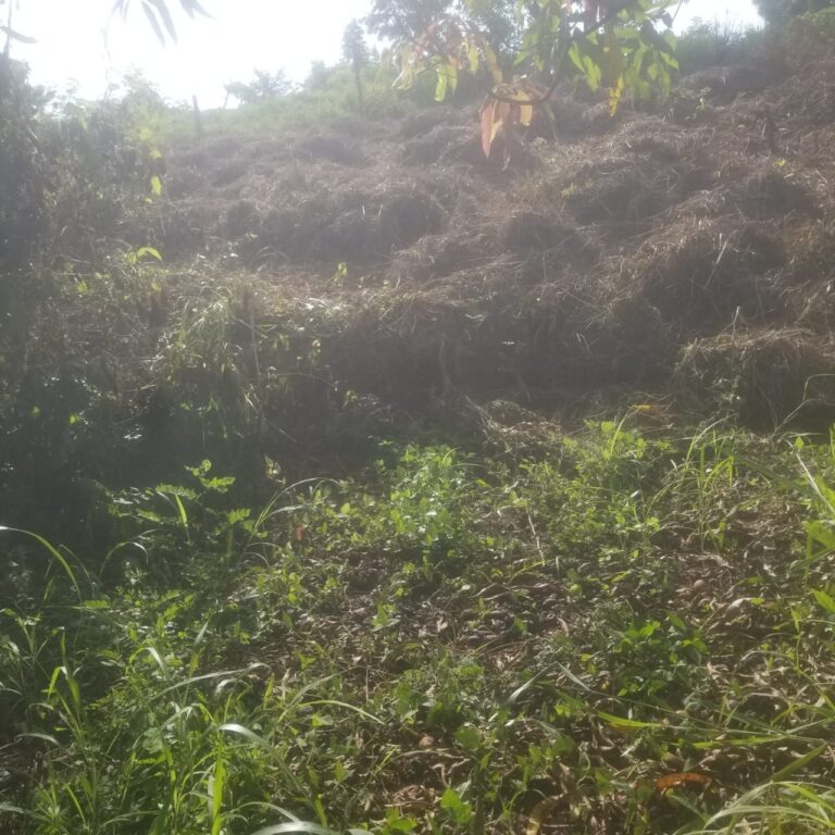 LOTE VISTA ATICAMA – photo 6