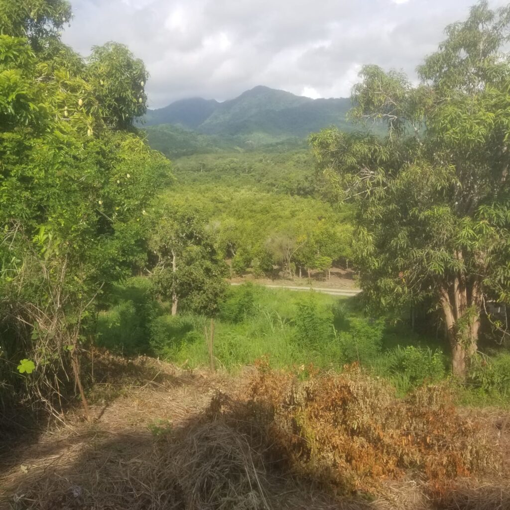 LOTE VISTA ATICAMA – photo 1