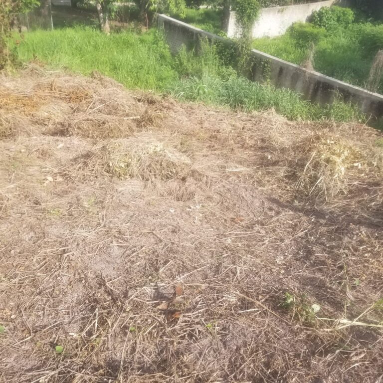 LOTE VISTA ATICAMA – photo 8